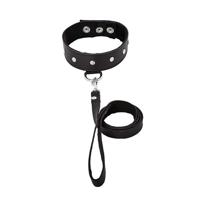 LEATHER LEASH & COLLAR