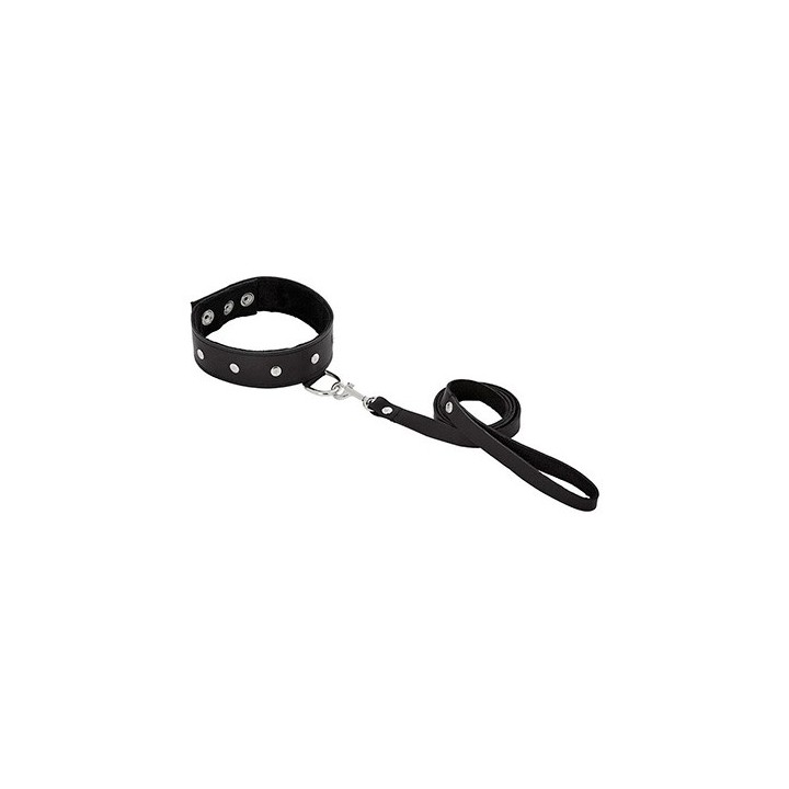 LEATHER LEASH & COLLAR