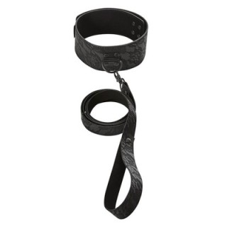 Locking Lace Collar & Leash