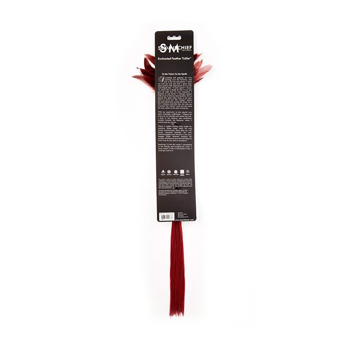 Enchanted Feather Tickler