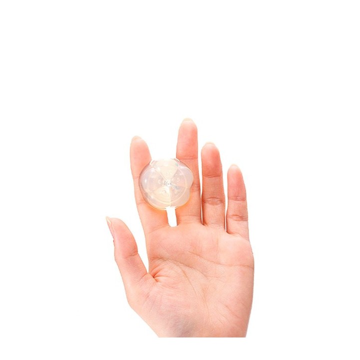 iroha petit PLUM