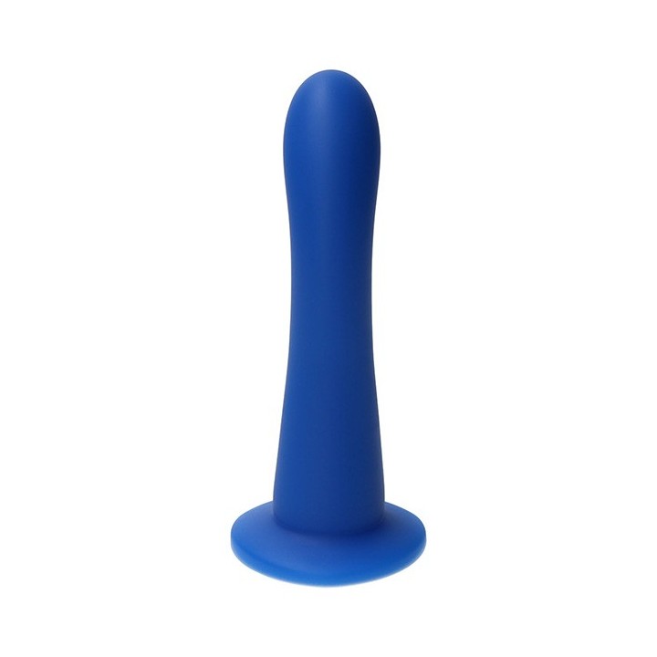 Swan Dark Blue