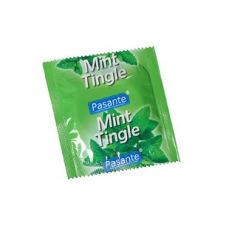 Pasante Mint BULK 144  UDS
