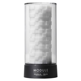 3D Module