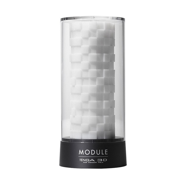 3D Module