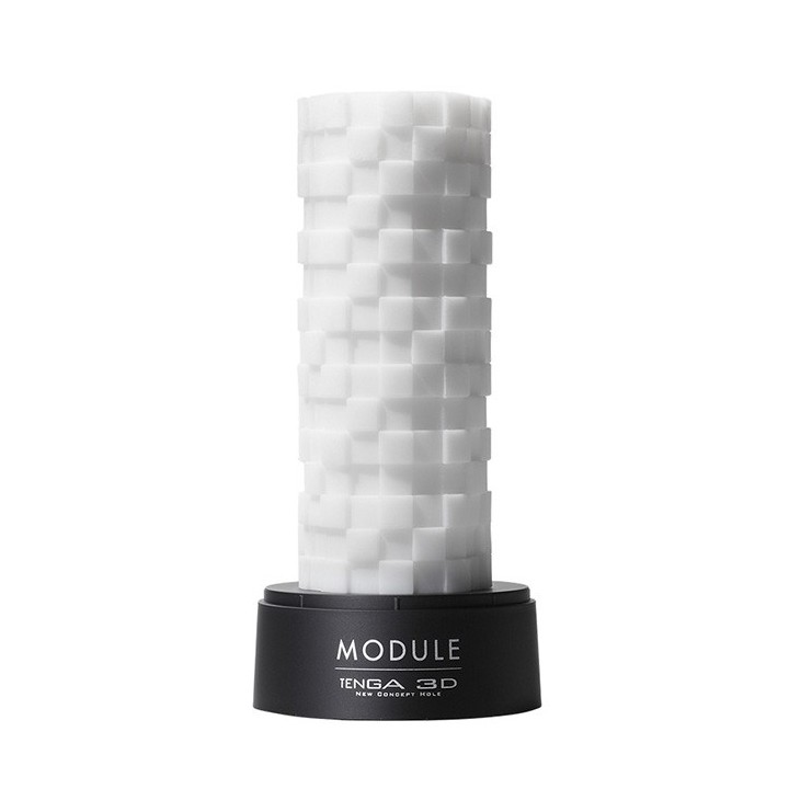 3D Module