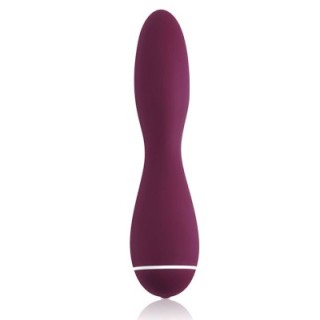 INTRO 4 PURPLE