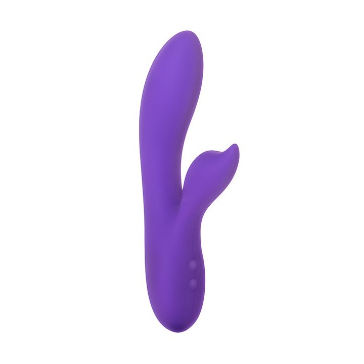 Silhouette S19 - Purple