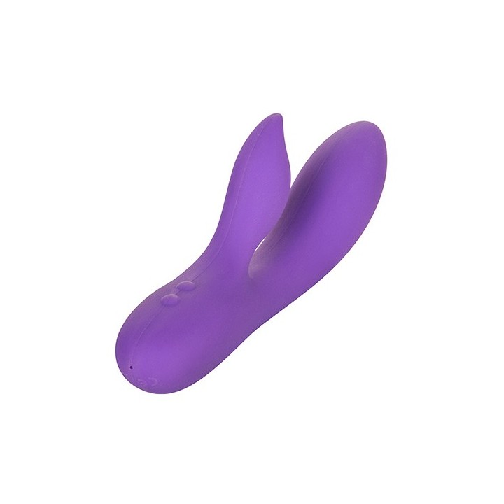 Silhouette S19 - Purple