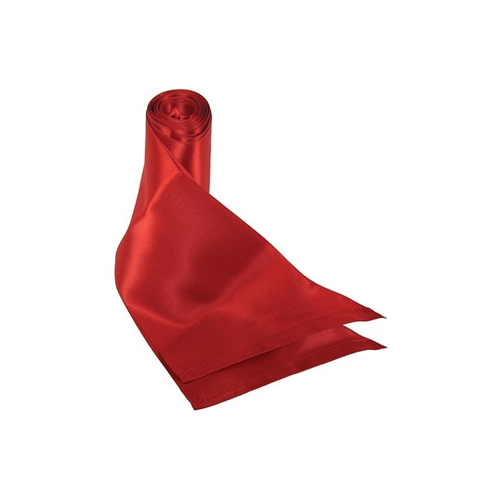 SILKY SASH RESTRAINTS - RED