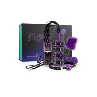 Secret Pleasure Chest Purple Apprentice